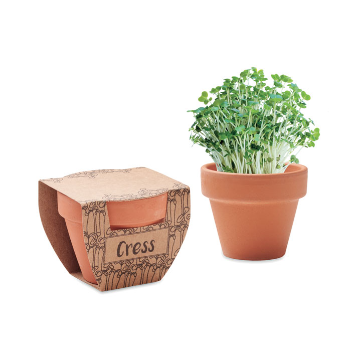 CRESS POT - Terrakotta-Topf Kresse