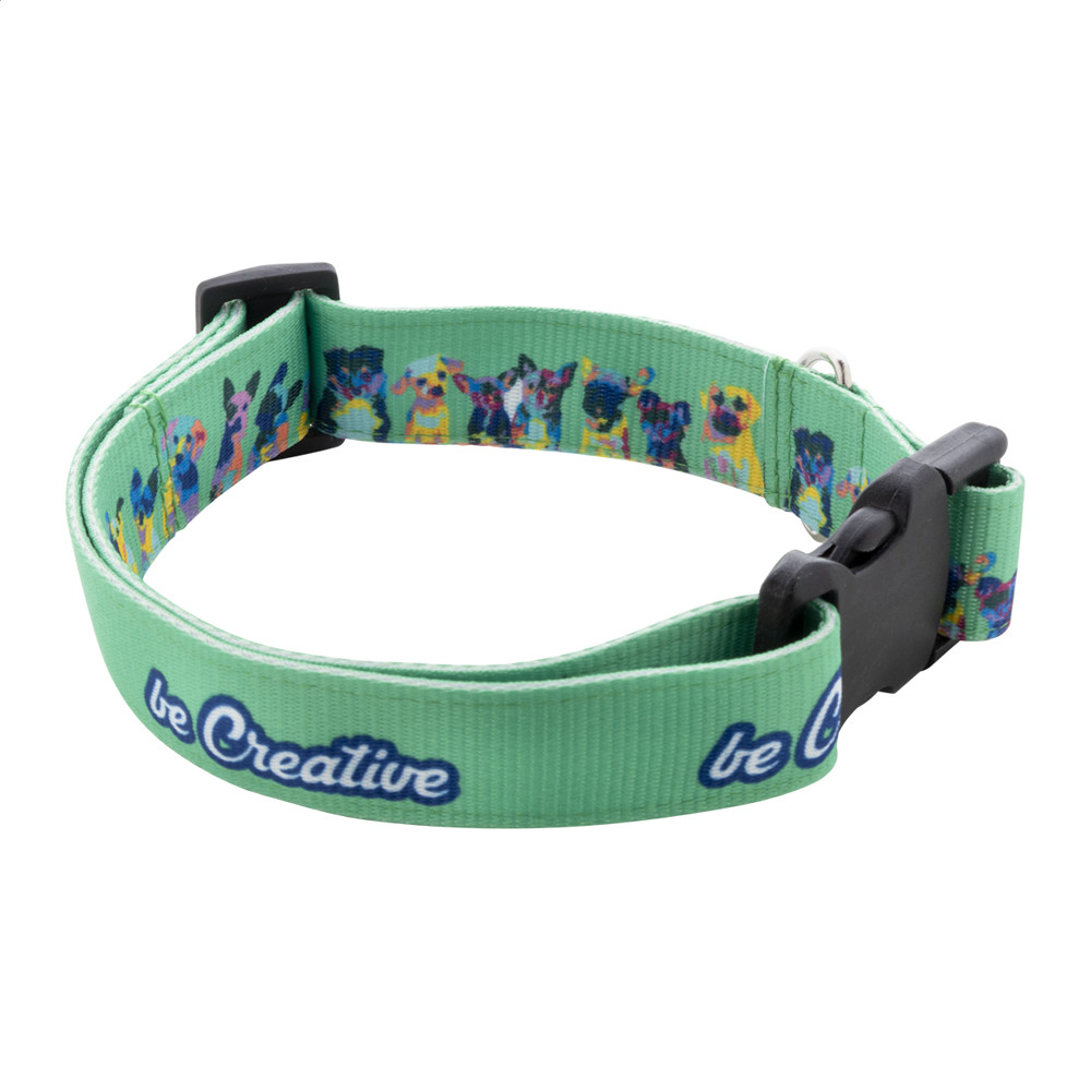 Ziggy - Individuelles Hundehalsband