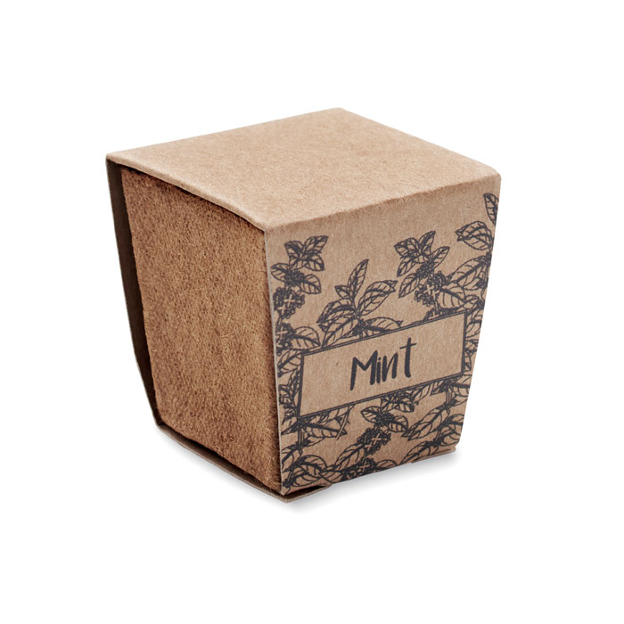 MINT KIT - Pflanz-Set Minze