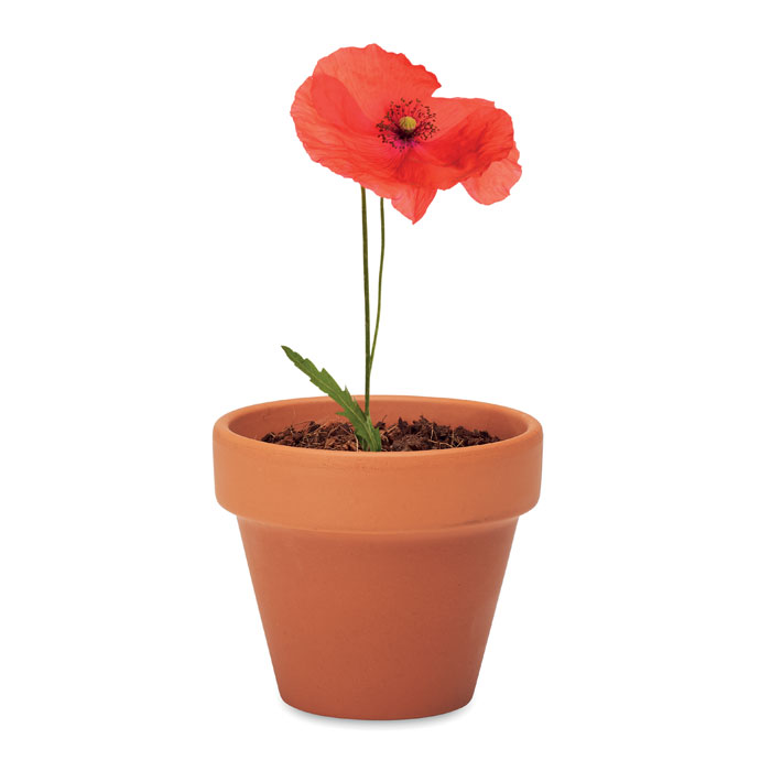 RED POPPY - Terracotta-Topf Mohnblume