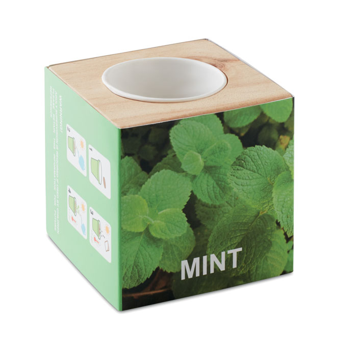 MENTA - Kräuterpflanz-Set
