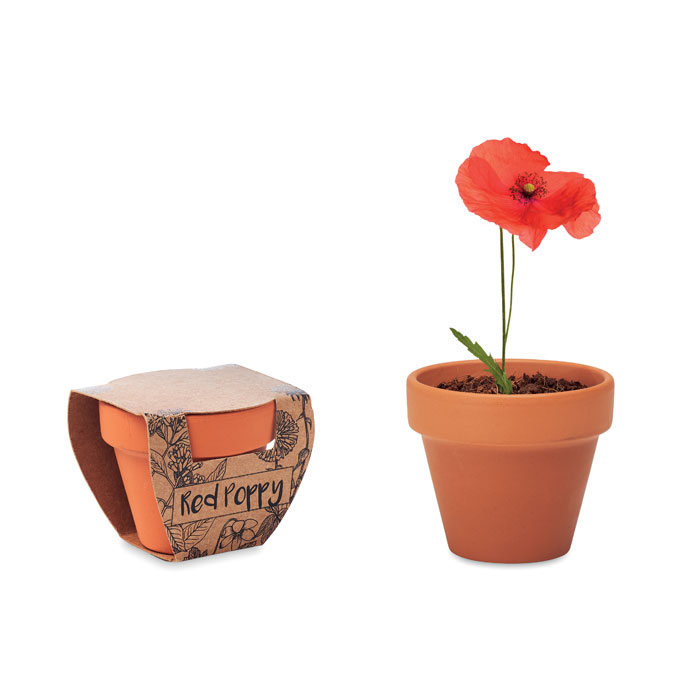 RED POPPY - Terracotta-Topf Mohnblume