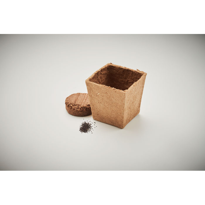 MINT KIT - Pflanz-Set Minze